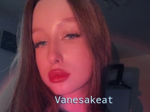 Vanesakeat