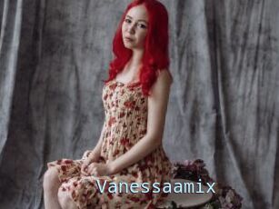 Vanessaamix