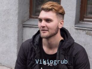 Vikingrub