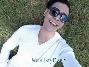 Wesley_Boix