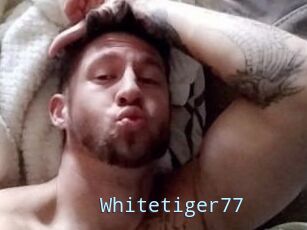 Whitetiger77