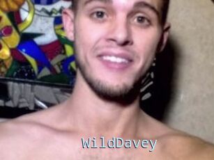 WildDavey