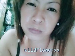 WildFlowerxx