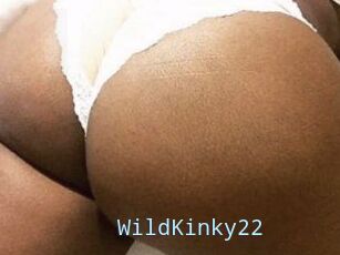 WildKinky22
