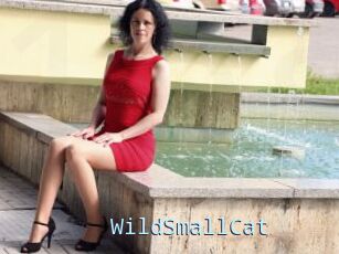 WildSmallCat