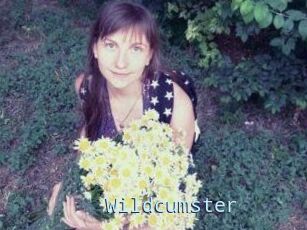 Wildcumster