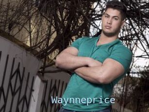 Waynneprice