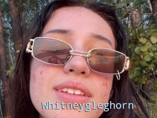 Whitneygleghorn