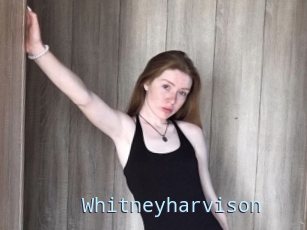 Whitneyharvison