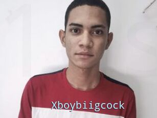 Xboybiigcock