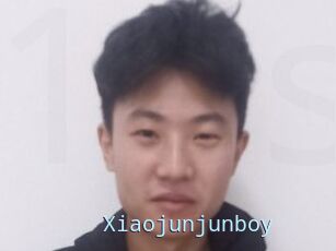 Xiaojunjunboy