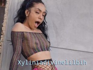 Xyliniadivinelilbih