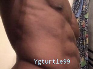 Ygturtle99