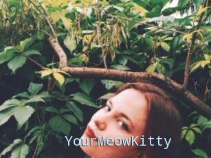 YourMeowKitty