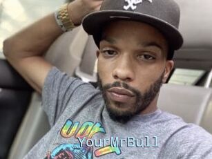 YourMrBull