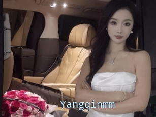 Yangqinmm