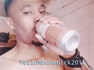 Yellowbonedick2010