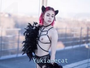 Yukiamecat