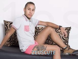 ZEUSCUTE