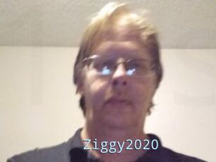 Ziggy2020