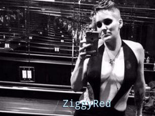 ZiggyRed