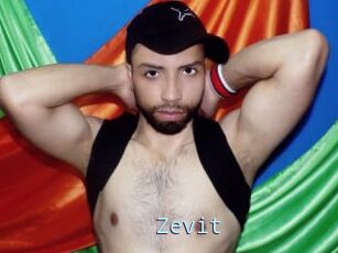 Zevit